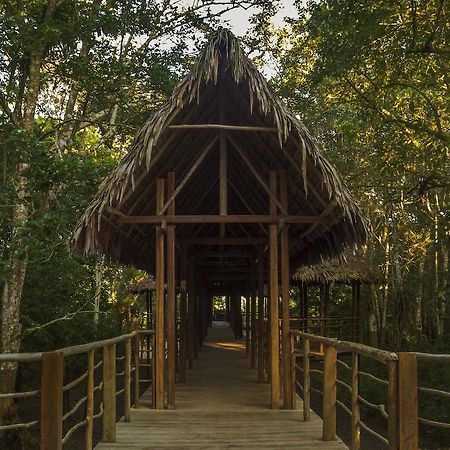 Treehouse Lodge Yucuruche Eksteriør bilde