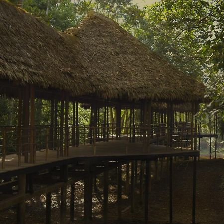 Treehouse Lodge Yucuruche Eksteriør bilde