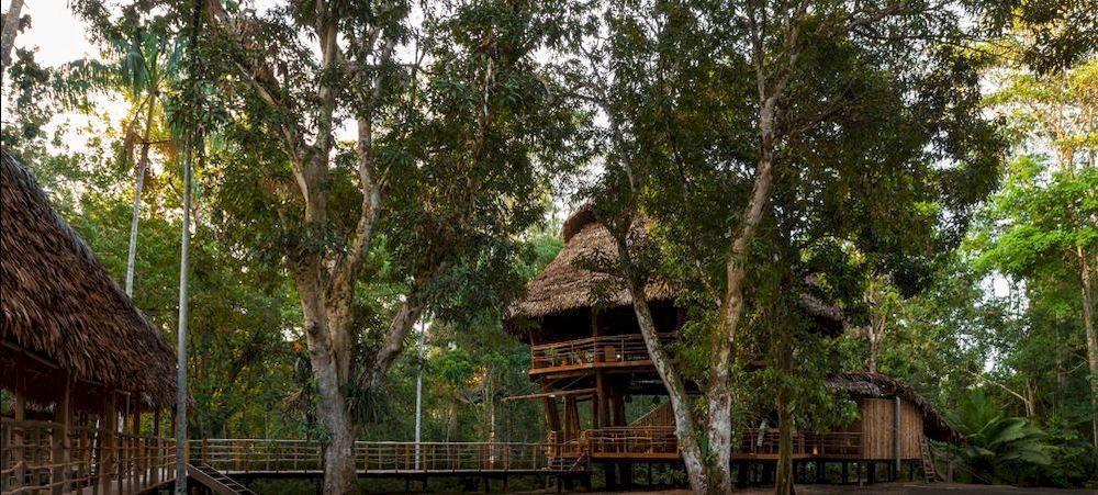 Treehouse Lodge Yucuruche Eksteriør bilde