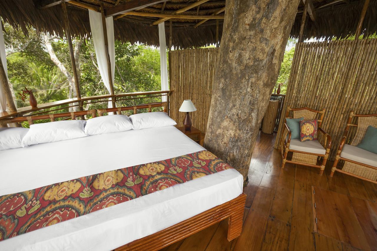 Treehouse Lodge Yucuruche Rom bilde