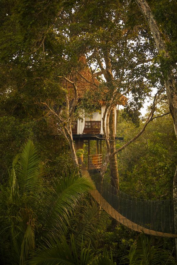 Treehouse Lodge Yucuruche Eksteriør bilde
