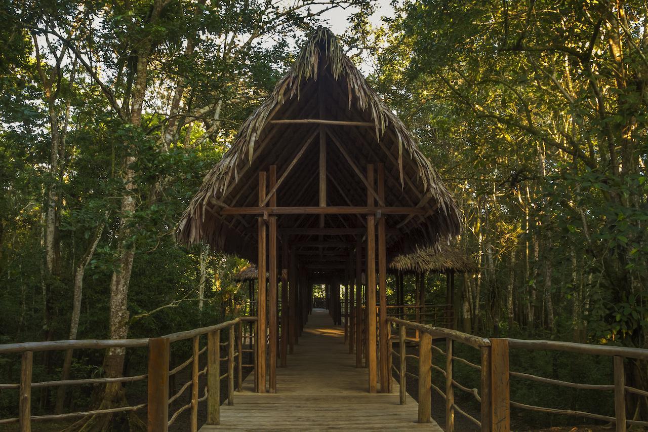 Treehouse Lodge Yucuruche Eksteriør bilde