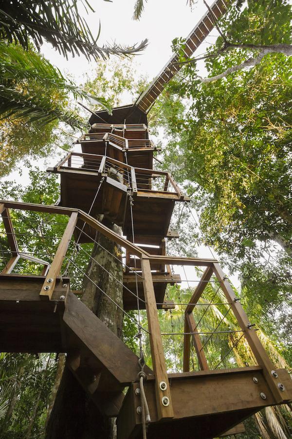 Treehouse Lodge Yucuruche Rom bilde
