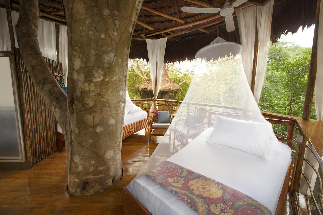 Treehouse Lodge Yucuruche Rom bilde