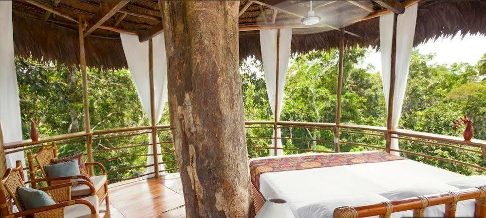Treehouse Lodge Yucuruche Eksteriør bilde