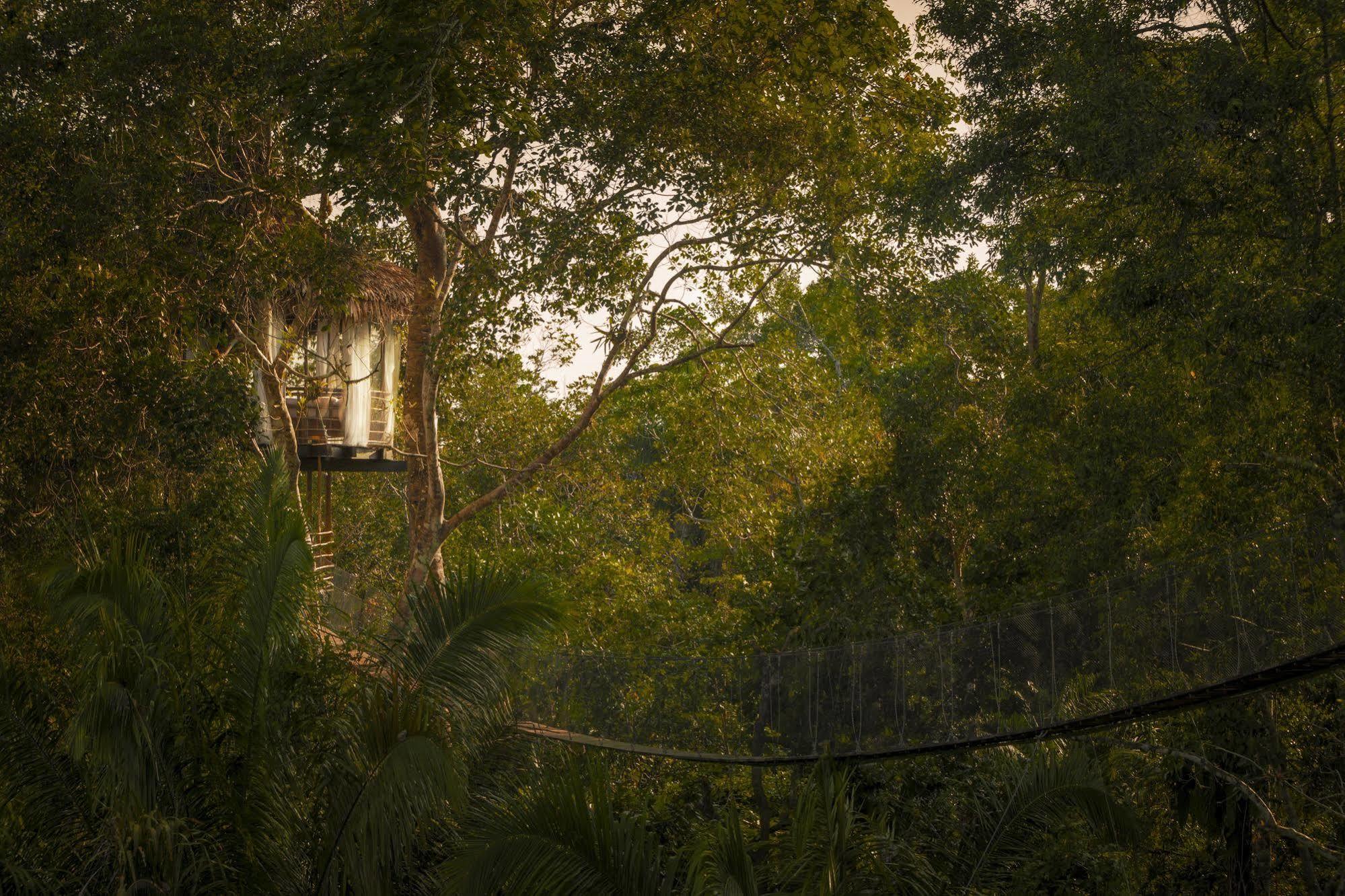 Treehouse Lodge Yucuruche Eksteriør bilde